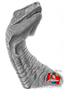 Raptor Portrait Artwork 8x10 Print